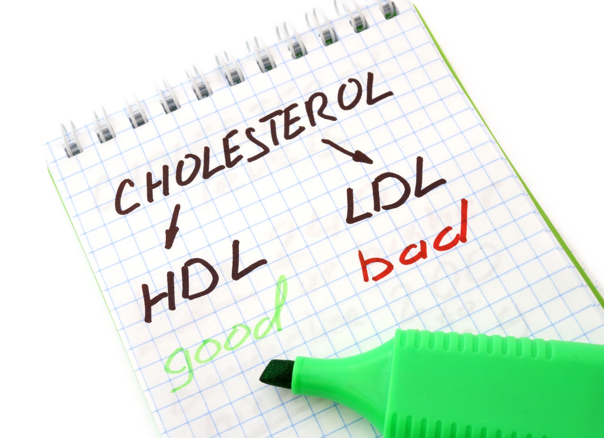 Differences Between LDL and HDL Cholesterol