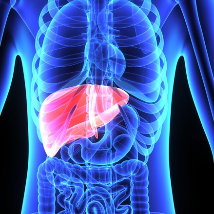 Functions of Cholesterol in the Body