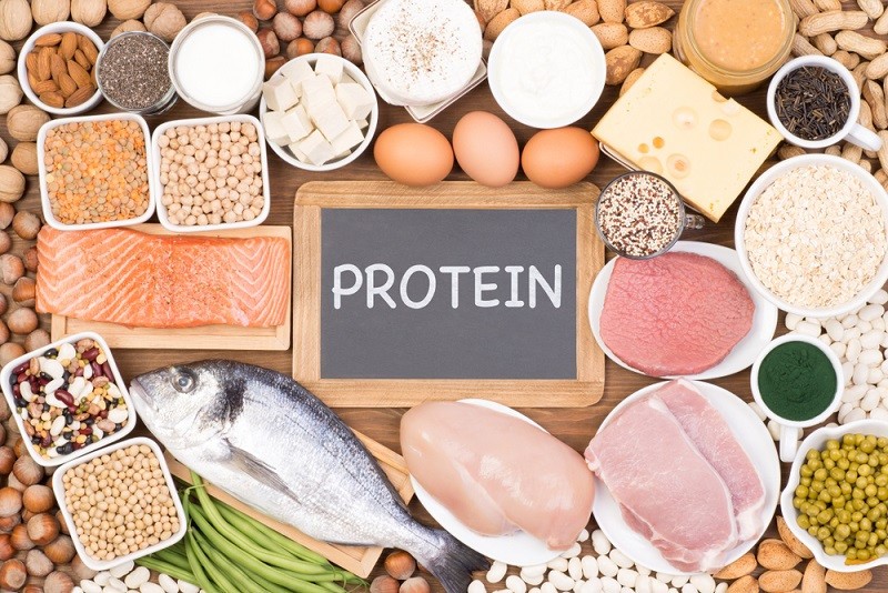 how much protein should we eat everyday