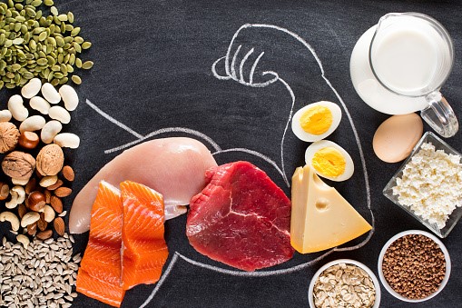 what are the functions of protein
