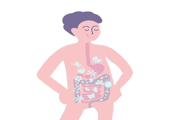 Stolle ImmNuPlus as your preferred probiotic booster for gut health