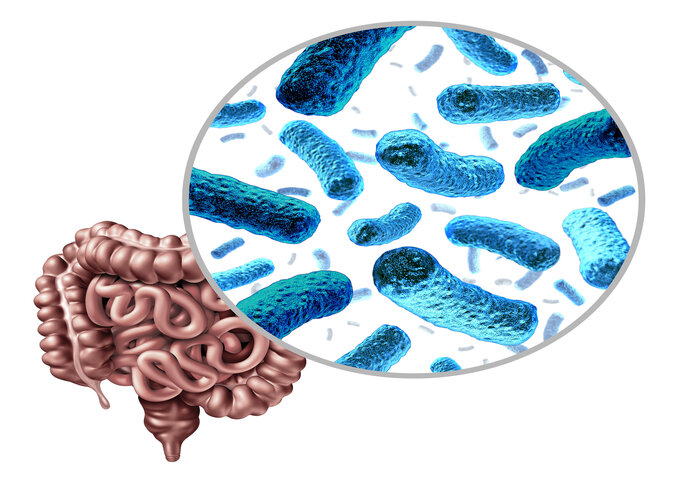 what are probiotics
