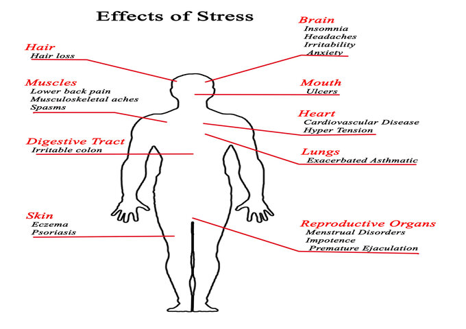 What are the different ways stress can affect you?