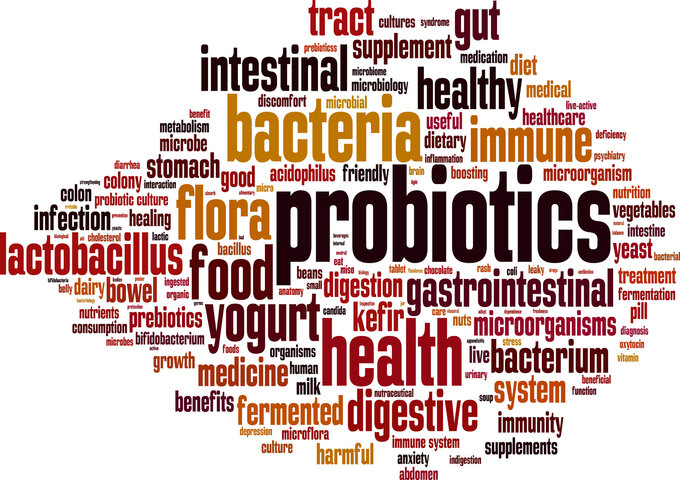 probiotics for gut health Malaysia
