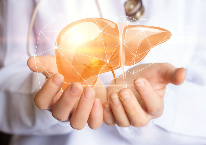 A healthy liver gives you a healthy life - live healthier with Stolle Vigor Plus