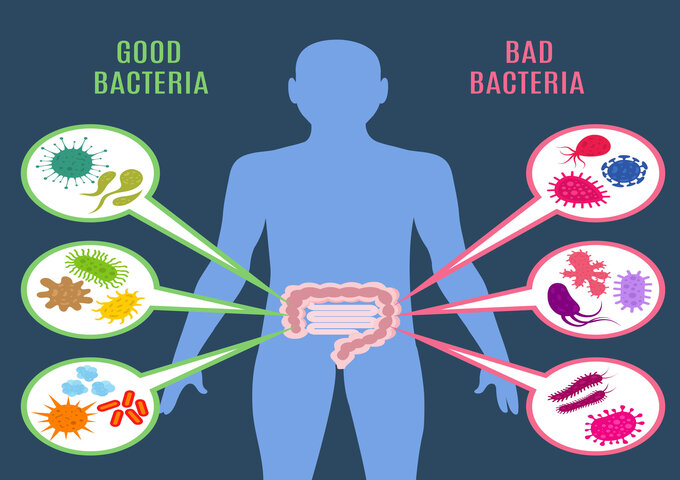 probiotics good for gut health